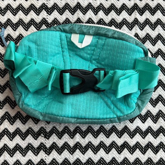 NWT Patagonia Belt Bag (1L) - Picture 8 of 8